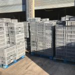 Plastic Trays for recycling