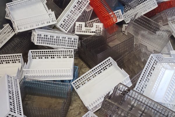 Polycarbonate trays ready for recycling