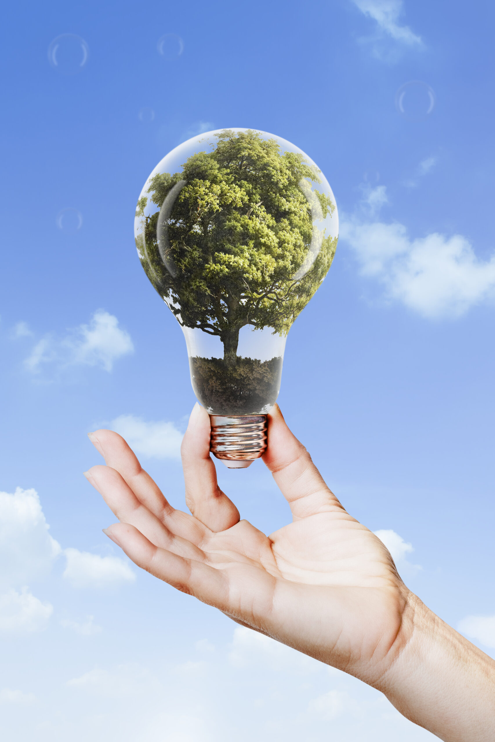 Easy Environmentally Friendly Tips