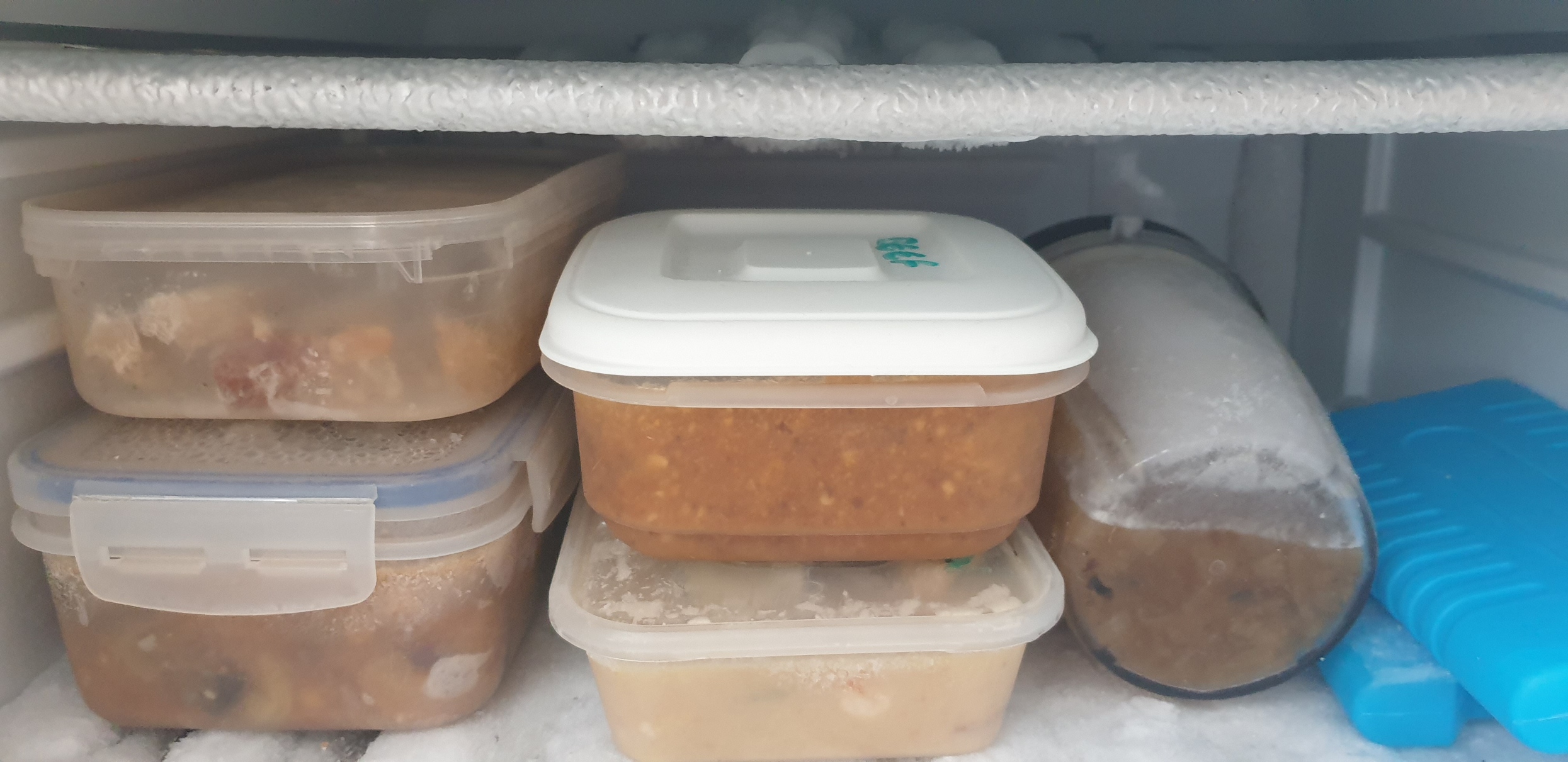 Freeze left overs