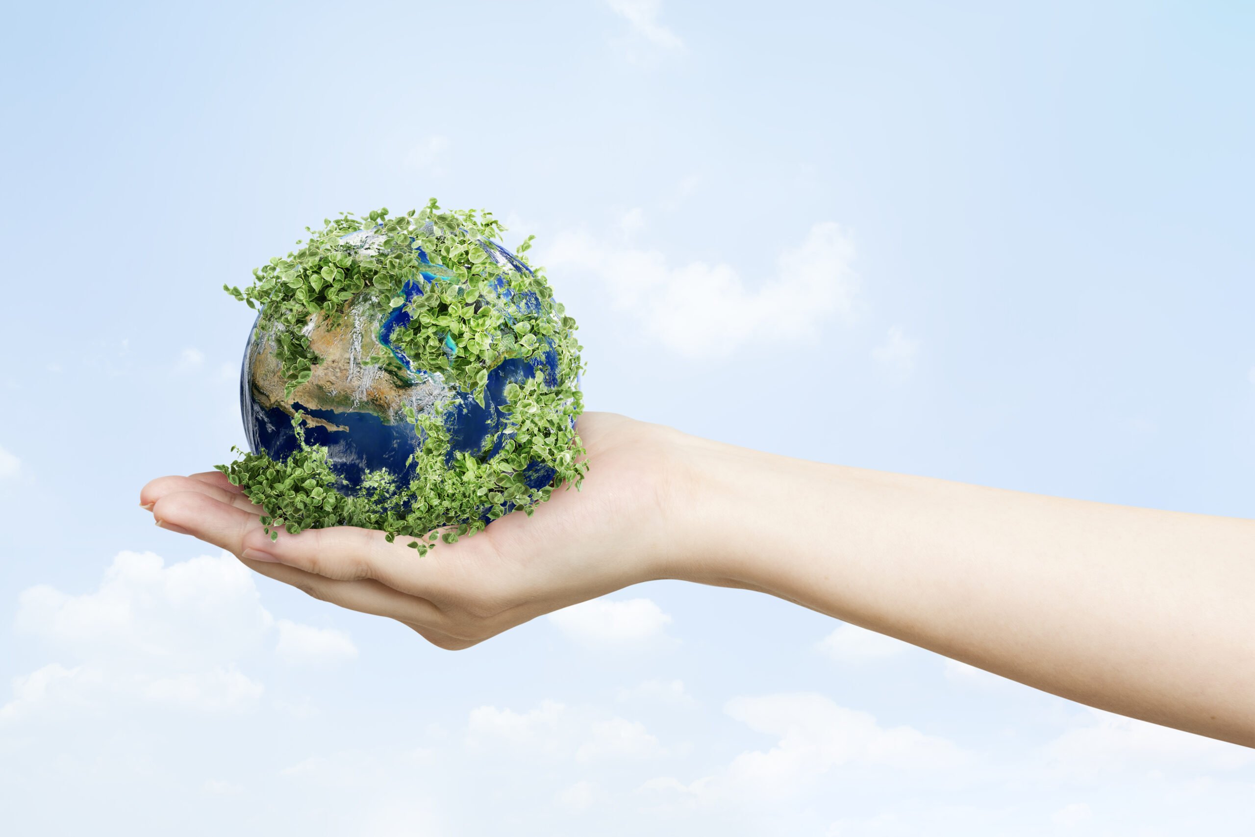 Could Old Fashioned Values Make Us More Environmentally Friendly?